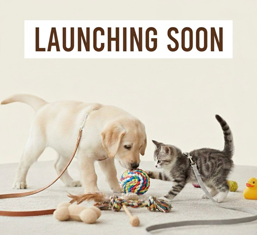 Play & Fun - Pawfectos