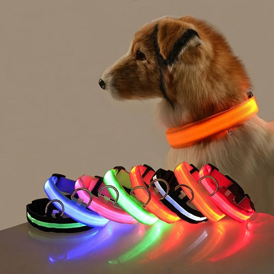 LED Dog Leash & Collar – Night Safety, USB Rechargeable, Reflective Nylon