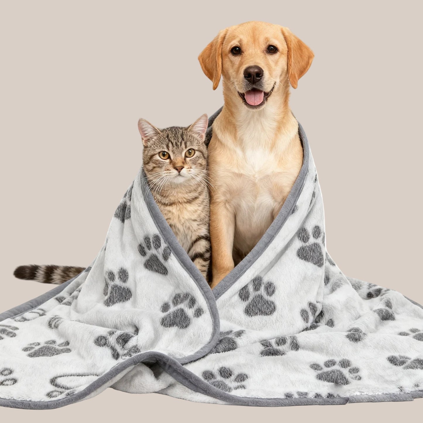 Dog and cat under a paw print pawfectos blanket on a grey background