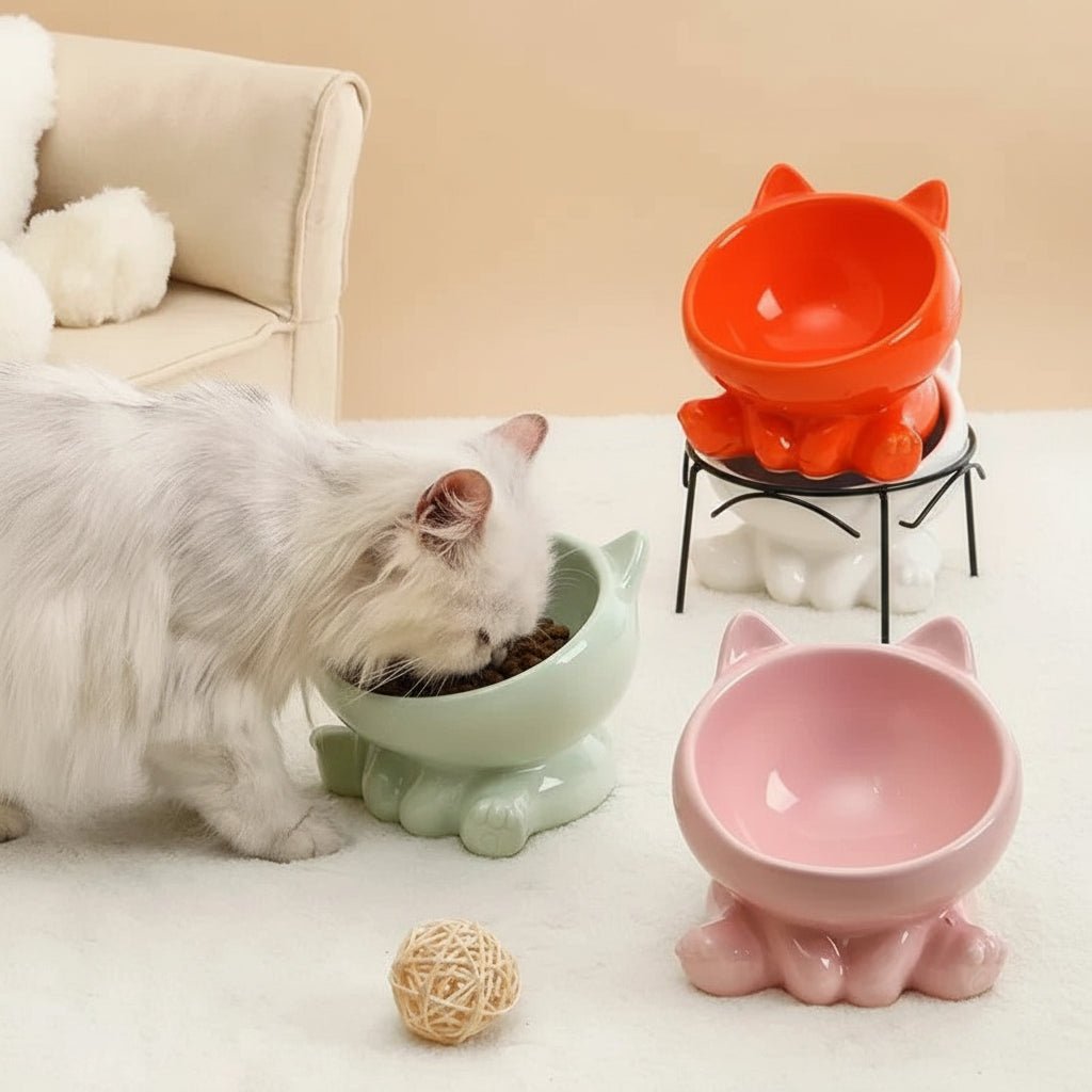 Rounded cat and dog feeding bowl protecting cervical spine