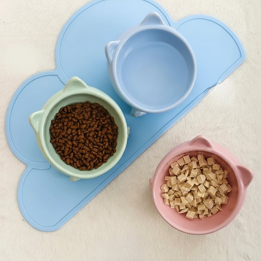 Premium ceramic pet bowl for water or dry food
