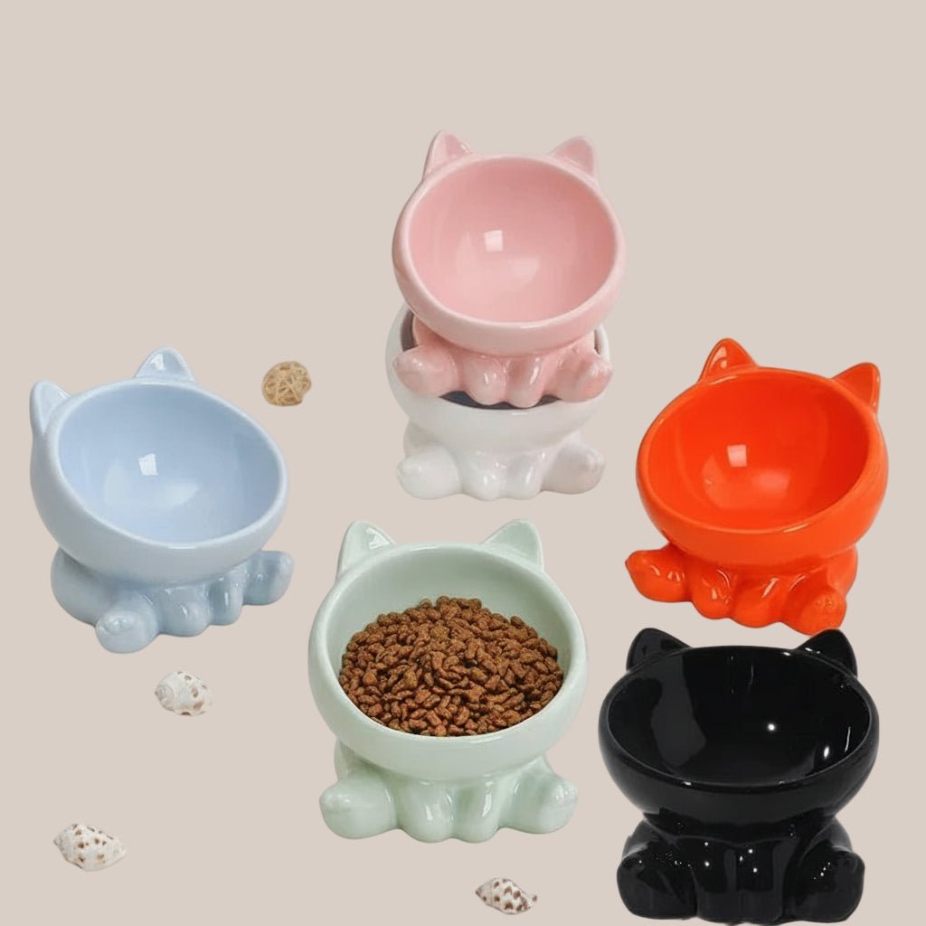 Ceramic elevated cat and dog bowl for healthy feeding posture
