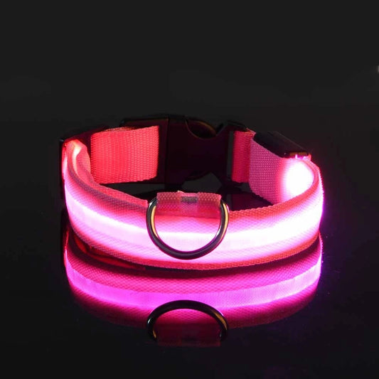 LED Dog Leash & Collar – Night Safety, USB Rechargeable, Reflective Nylon