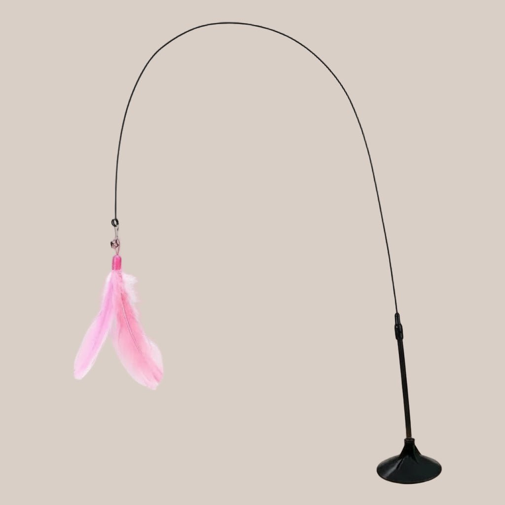 Black cat toy with a pink feather on a photoshoot background