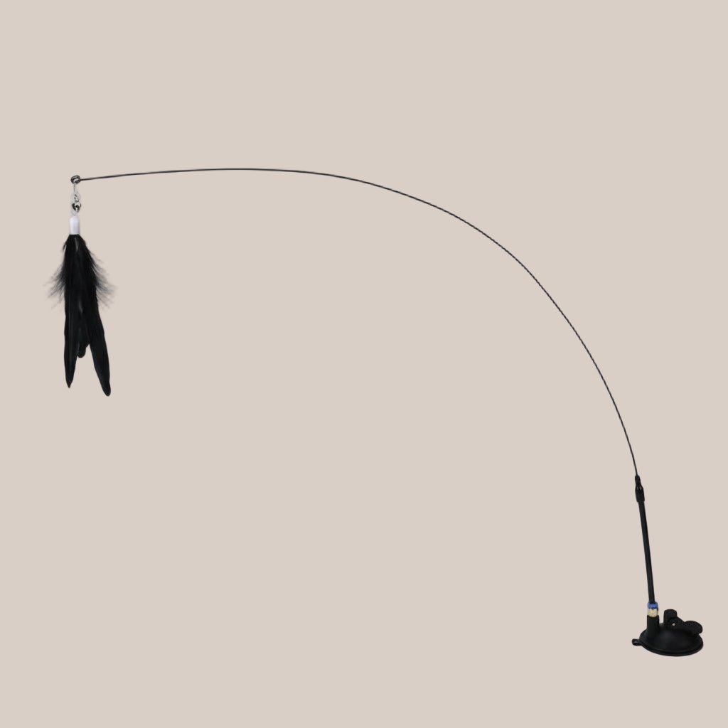 Feather Wand Toy - Pawfectos Pawfectos 