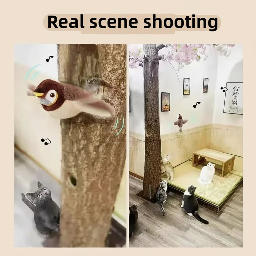 Two images showing cats interacting with a pawfectos flapping bird toy