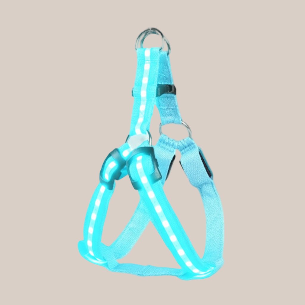 Light blue pet dog harness with black buckles on a white background