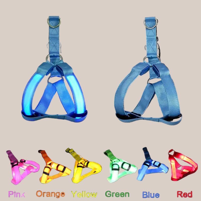Set of pawfectos LED dog harnesses in various colors on a black background