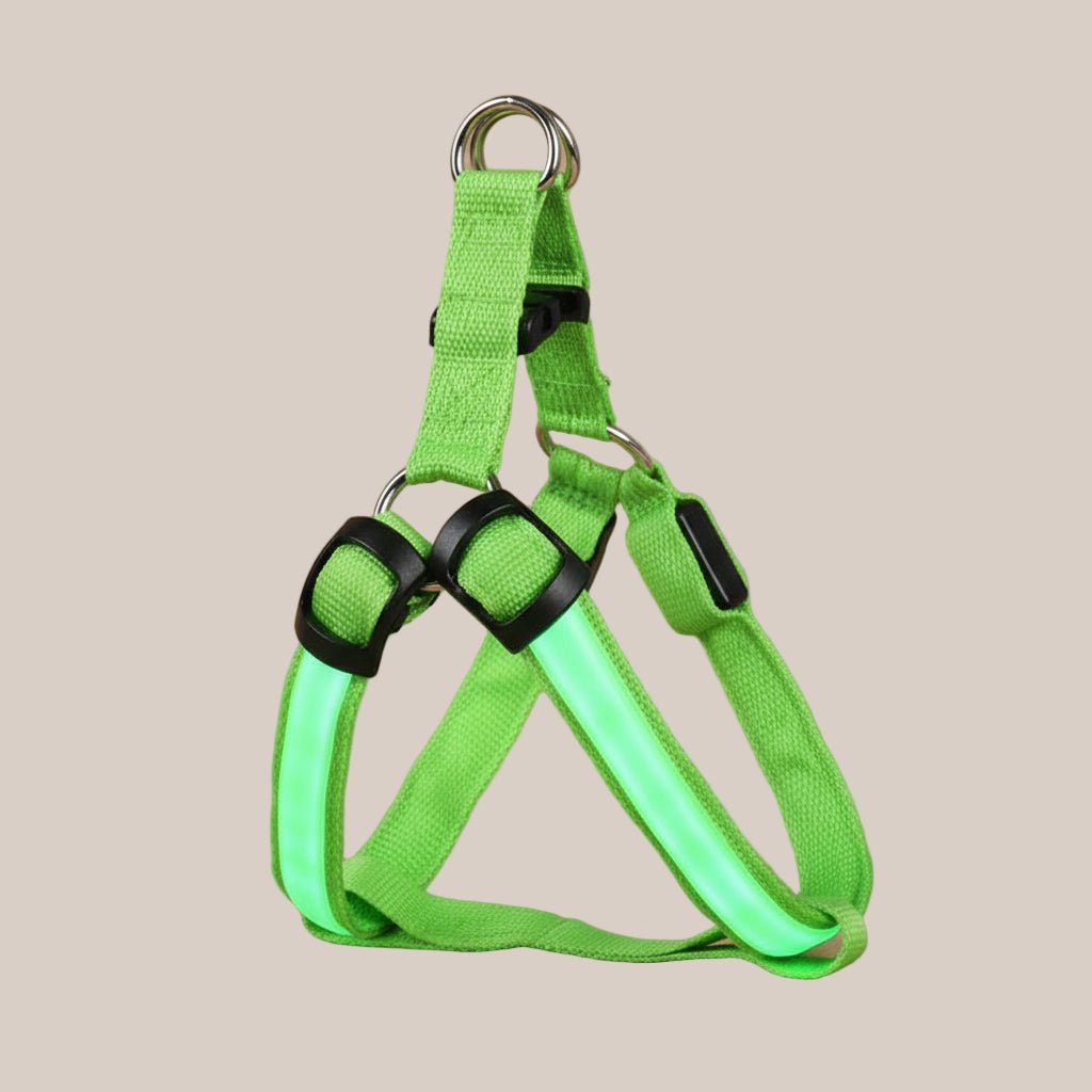 Rechargeable glowing dog harness for small and medium dogs