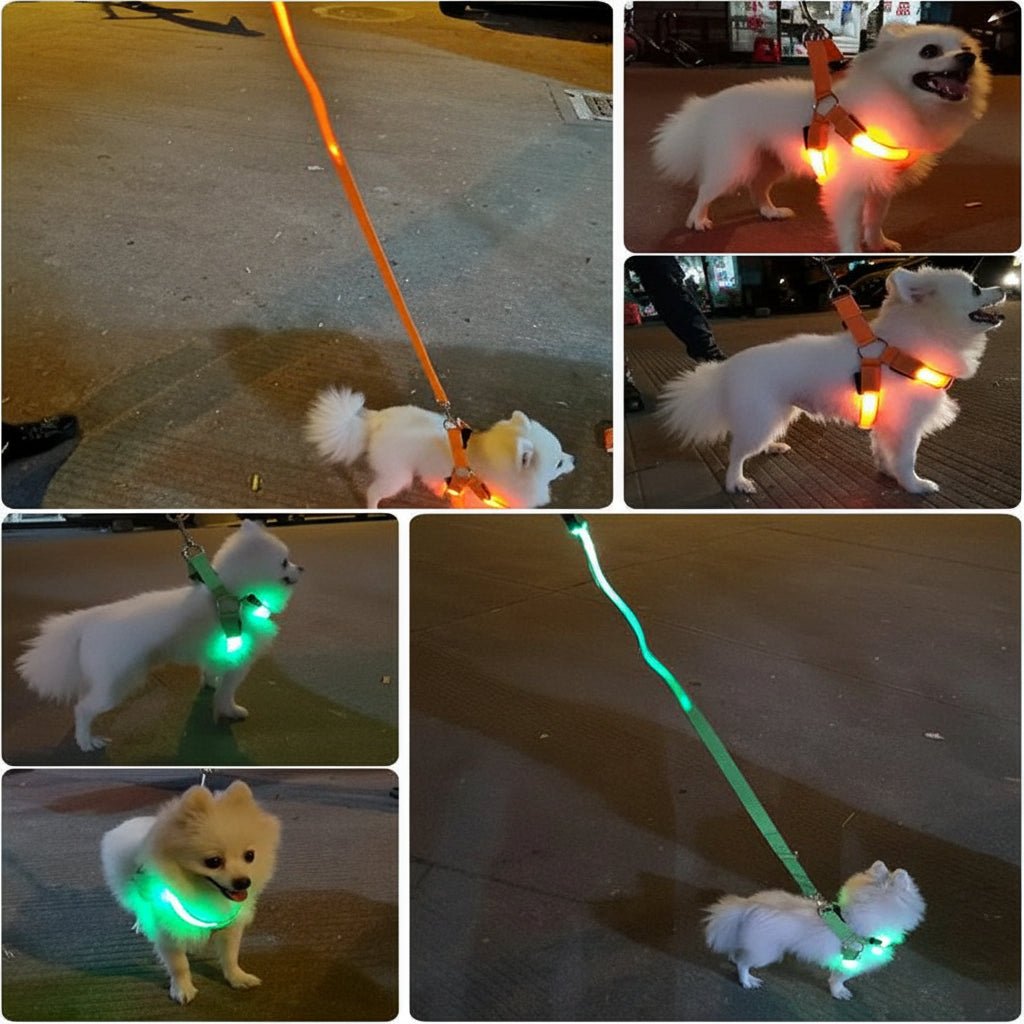 LED dog harness with glowing safety lights for night walks