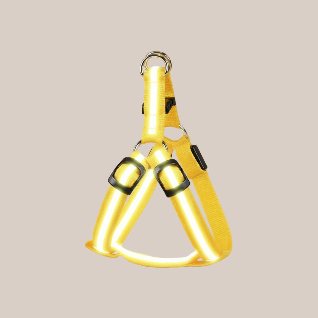 Adjustable reflective dog vest with LED lights for nighttime safety