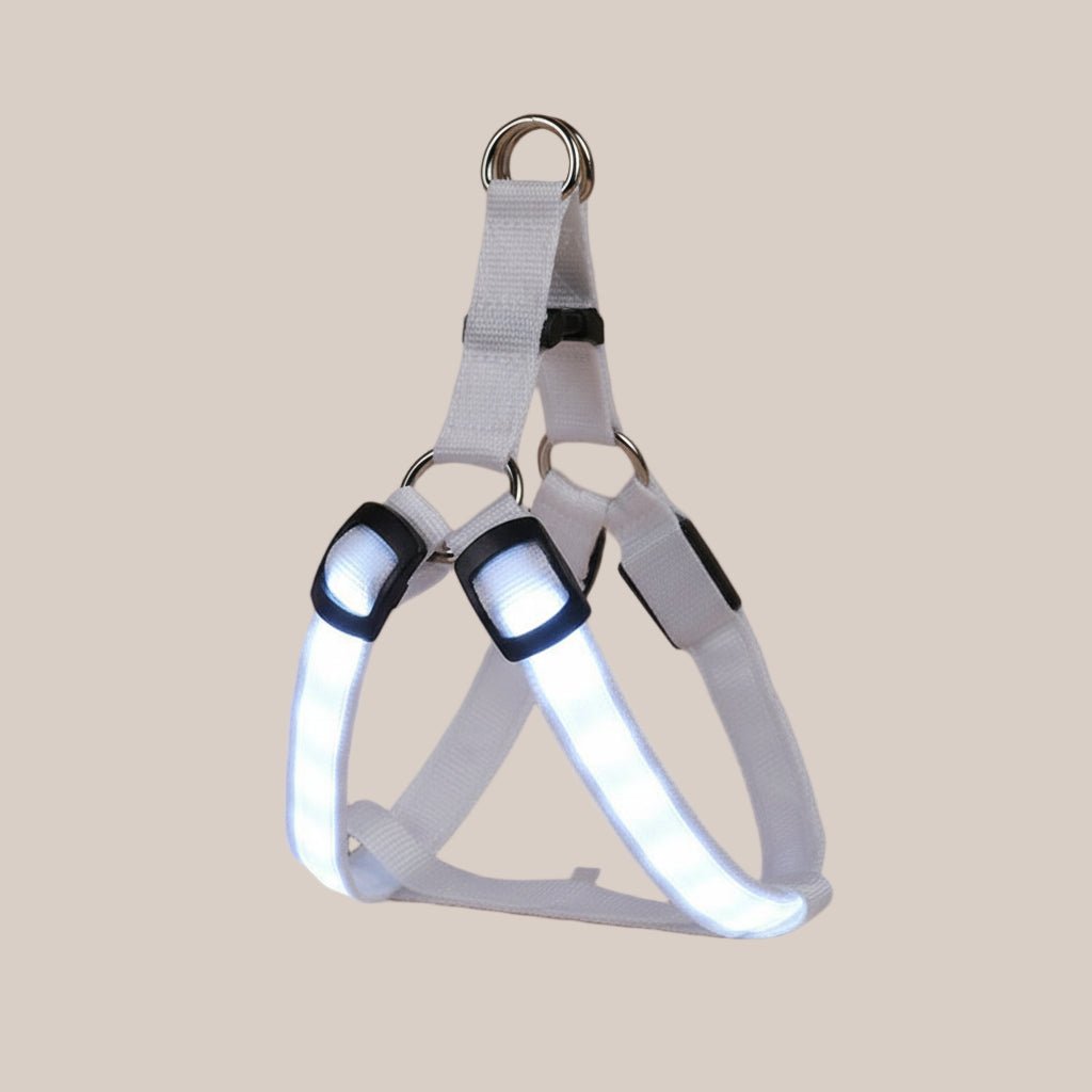 Comfort-fit LED pet harness with adjustable straps