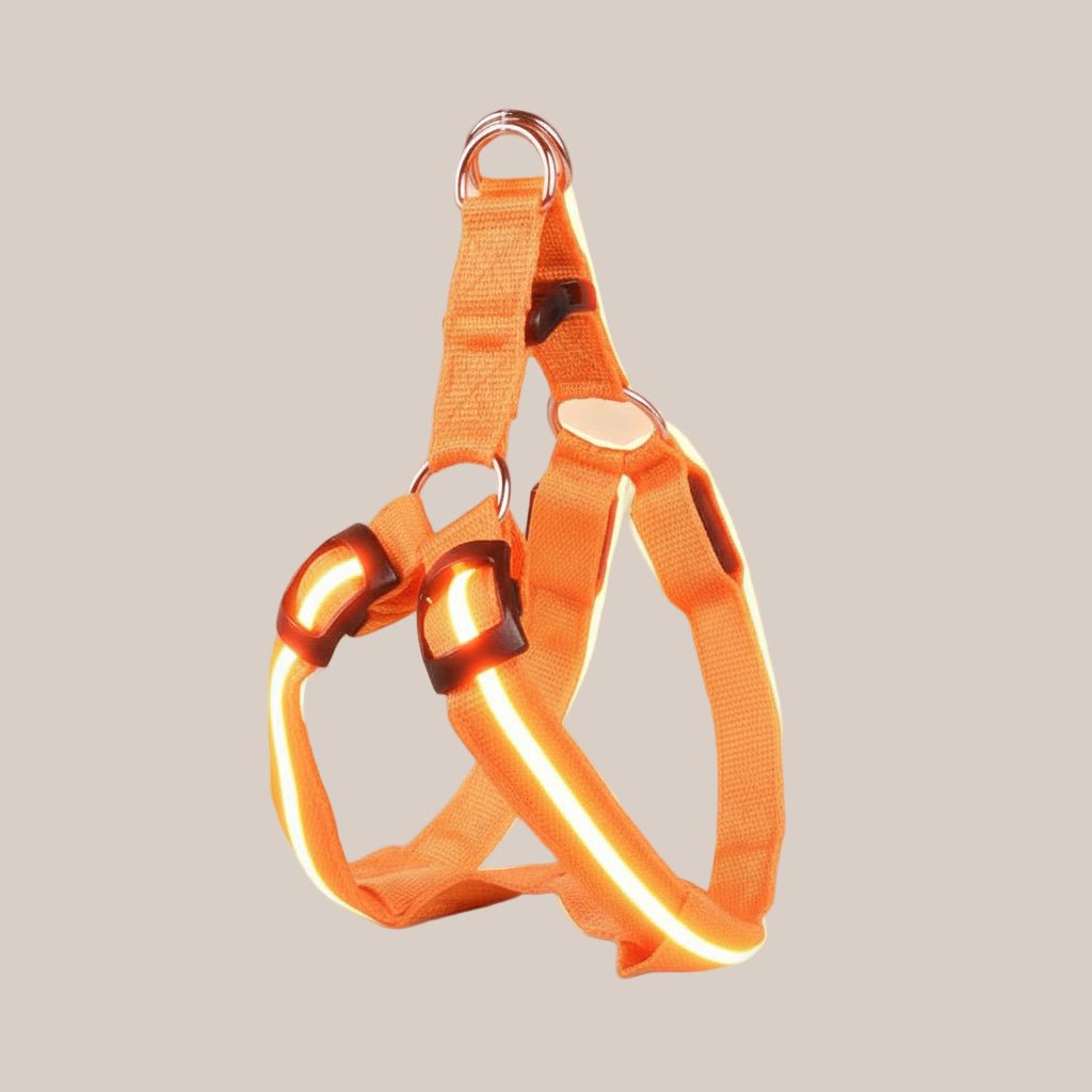 Comparison of an orange dog harness before and after use, showing a glowing effect.