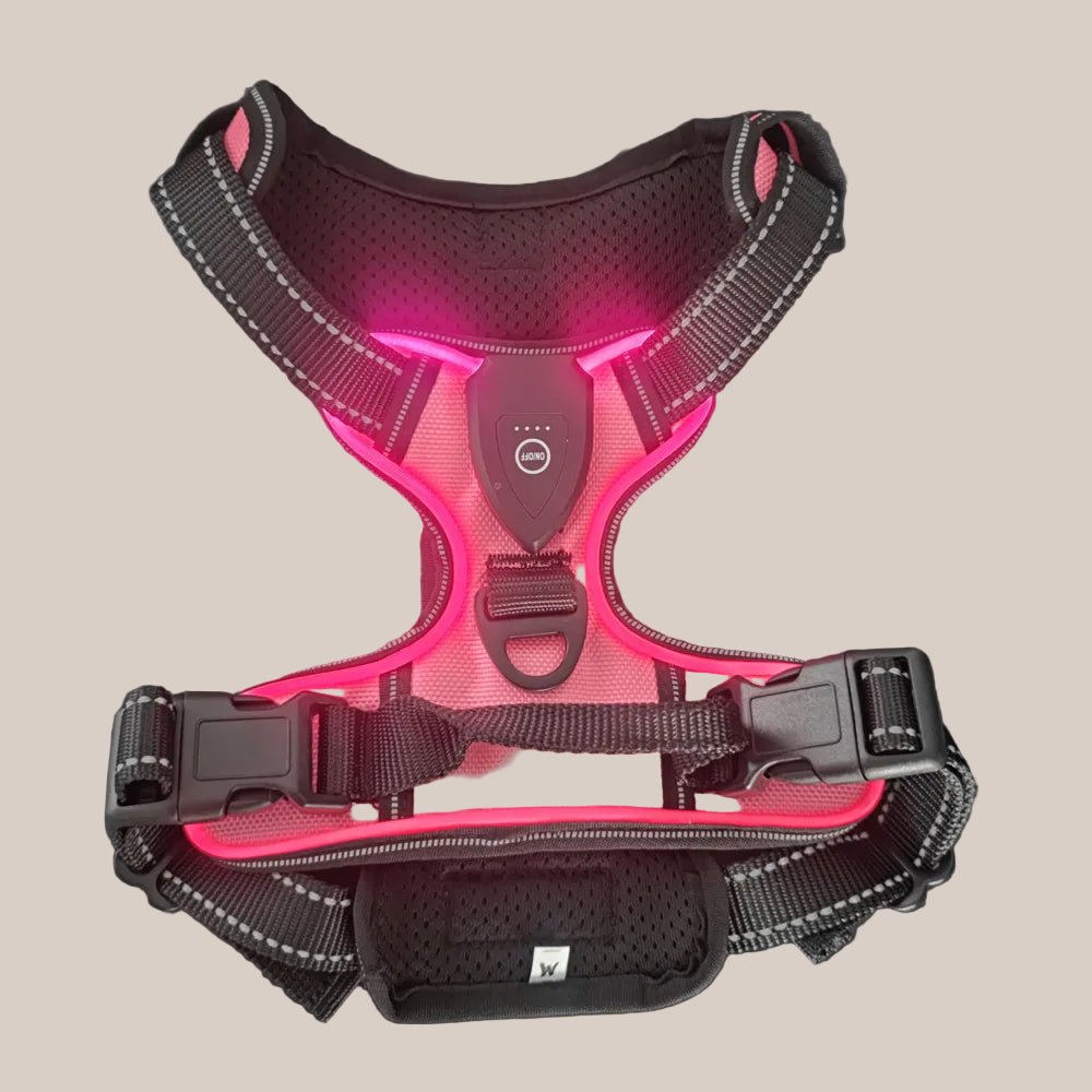 waterproof adjustable led harness for pets