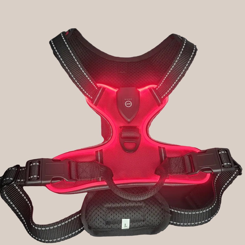 Pawfectos Red LED dog harness on a grey background