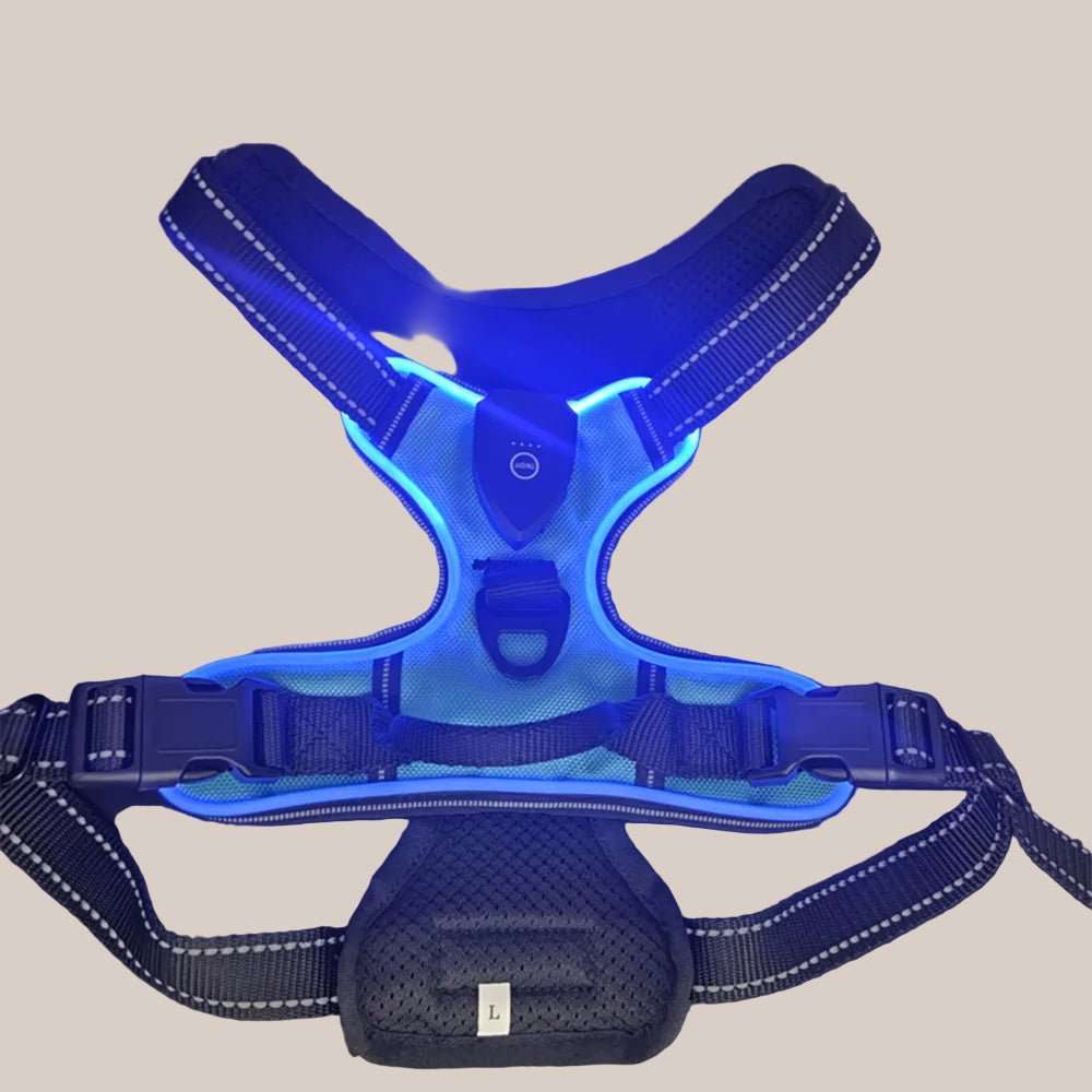 luminous pet harness for dogs and cats