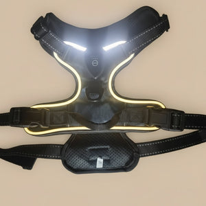 Slate Ash - Upgraded