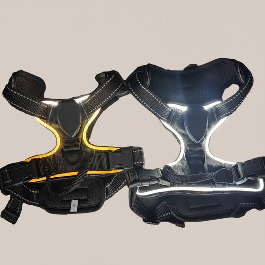 glowing pet safety vest with flashing lights