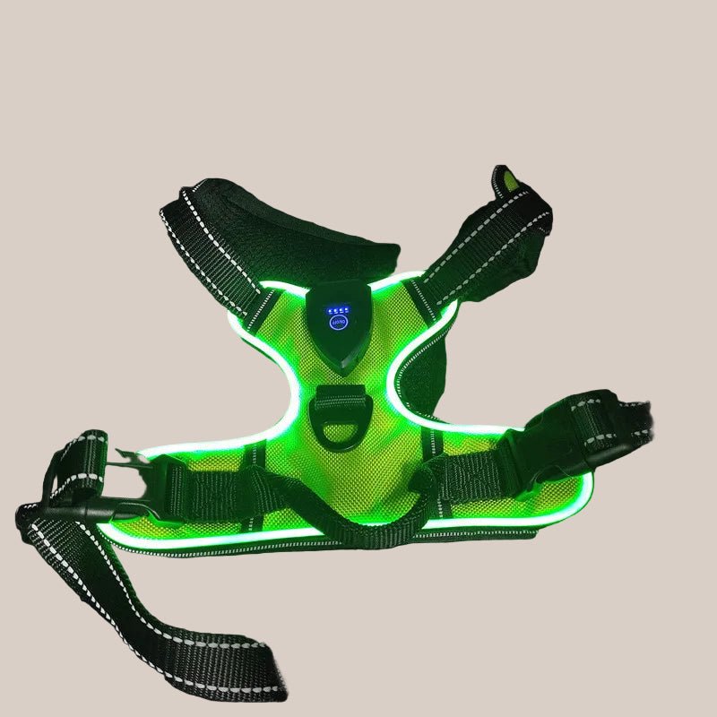 adjustable reflective led dog harness for night walks