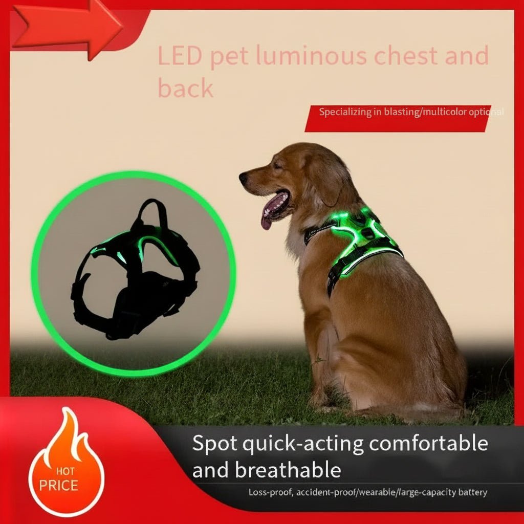 pawfectos led pet glow vest for dogs and cats