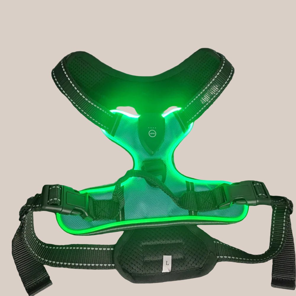 Green LED dog harness 