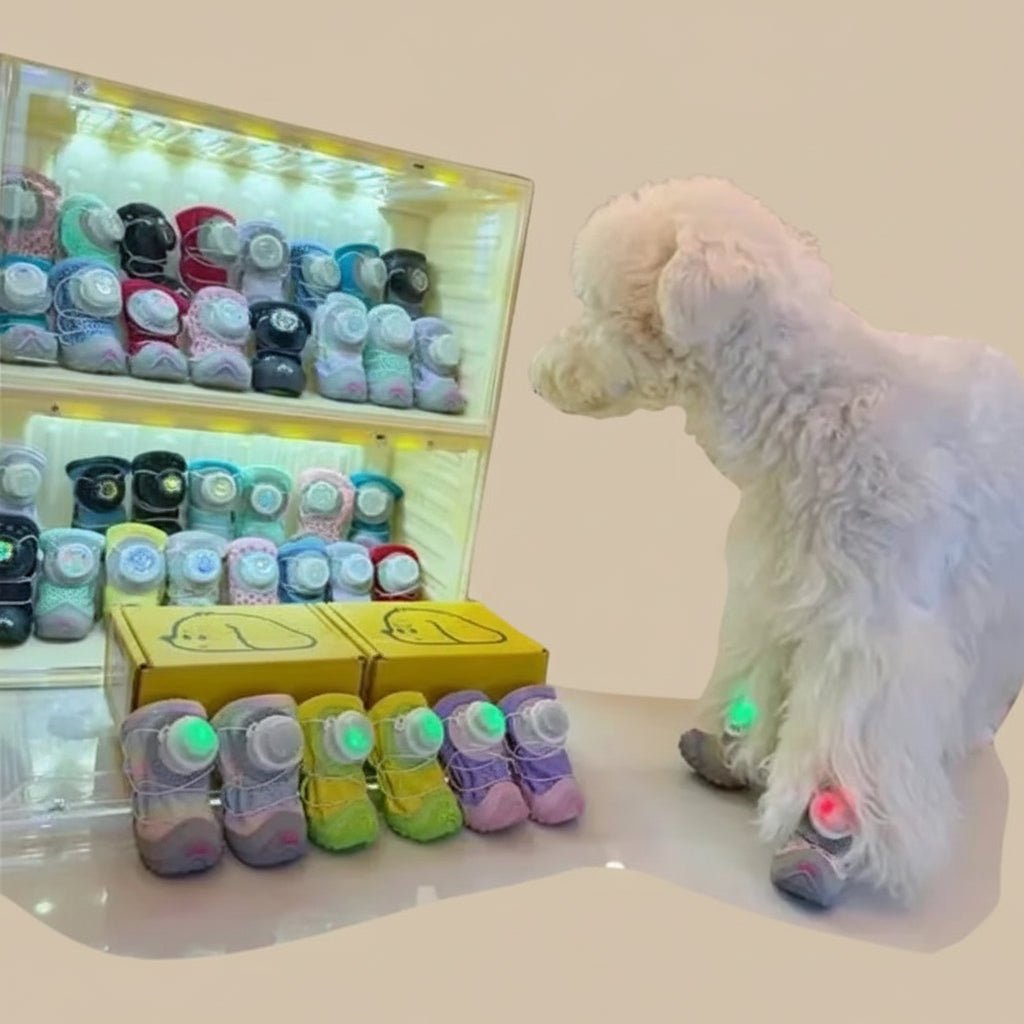 Night safety LED shoe for dogs and cats