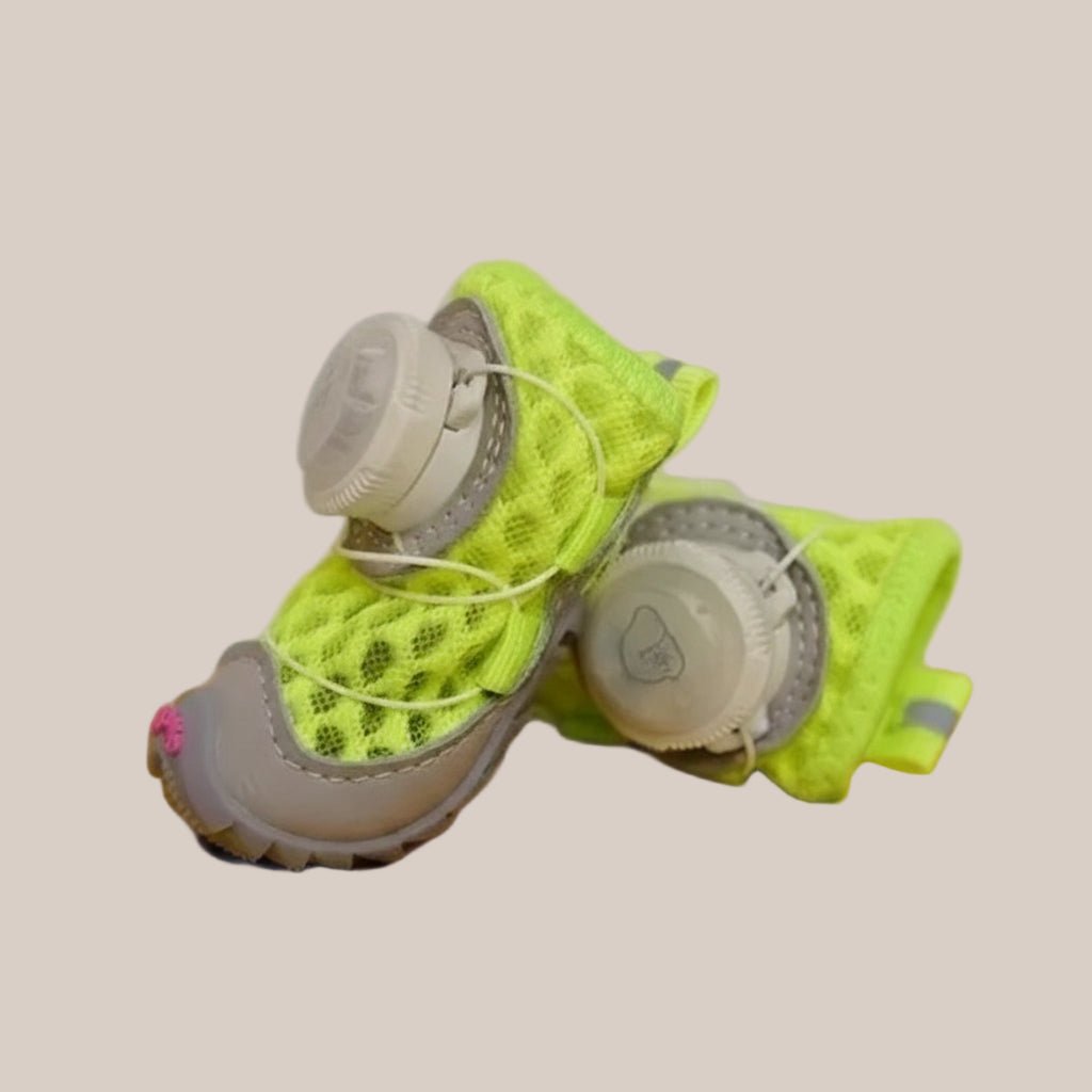 Dog and cat LED safety shoe