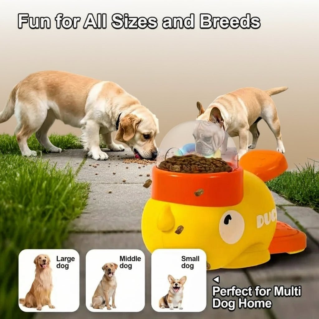 Best Interactive Feeder Toy ForAll dog breeds & cats