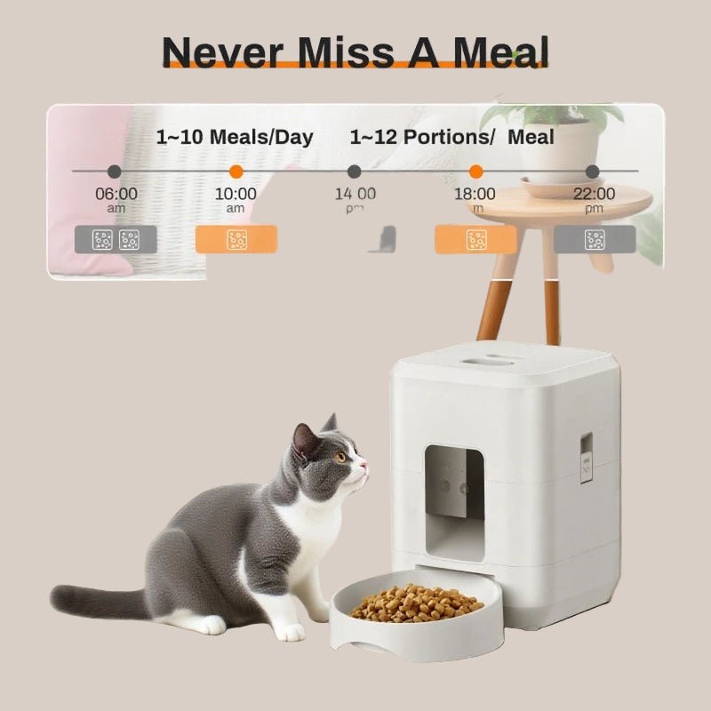 Cat sitting next to the pawfectos pet feeder with a meal dispenser in a home setting.